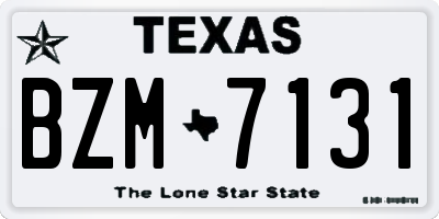 TX license plate BZM7131