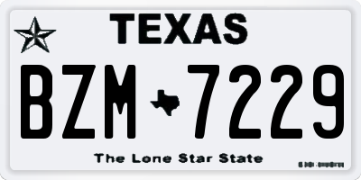 TX license plate BZM7229