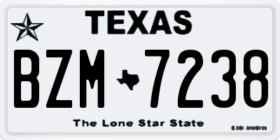 TX license plate BZM7238