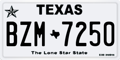 TX license plate BZM7250