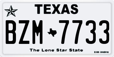 TX license plate BZM7733