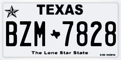 TX license plate BZM7828