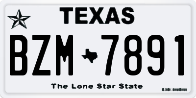 TX license plate BZM7891