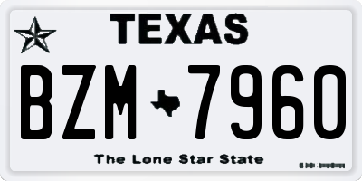 TX license plate BZM7960