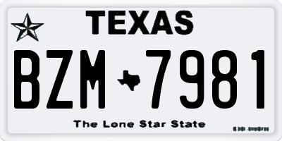TX license plate BZM7981