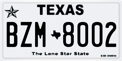 TX license plate BZM8002