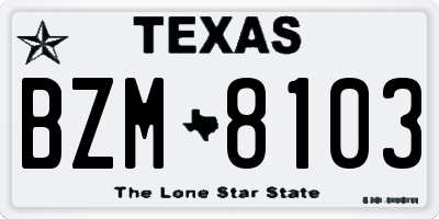 TX license plate BZM8103