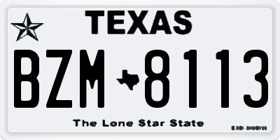 TX license plate BZM8113