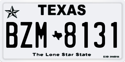 TX license plate BZM8131