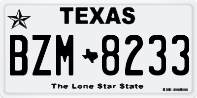 TX license plate BZM8233