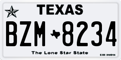 TX license plate BZM8234