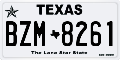 TX license plate BZM8261