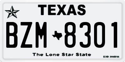 TX license plate BZM8301