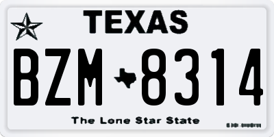 TX license plate BZM8314