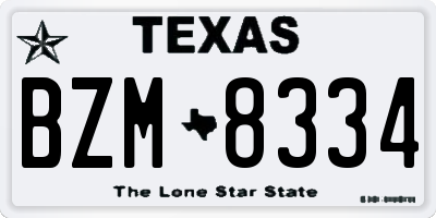 TX license plate BZM8334