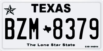 TX license plate BZM8379