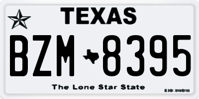 TX license plate BZM8395