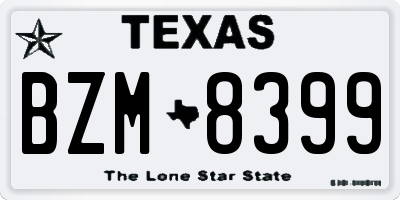 TX license plate BZM8399