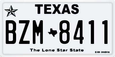 TX license plate BZM8411