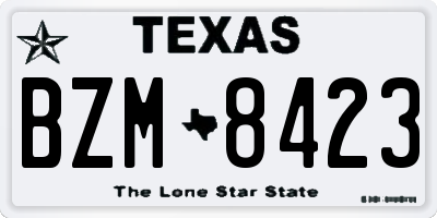 TX license plate BZM8423