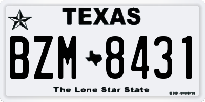 TX license plate BZM8431