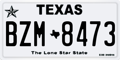 TX license plate BZM8473