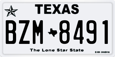TX license plate BZM8491