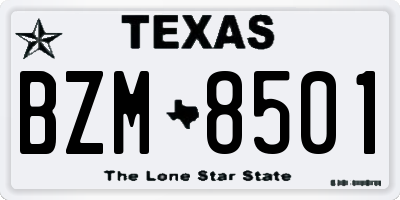 TX license plate BZM8501