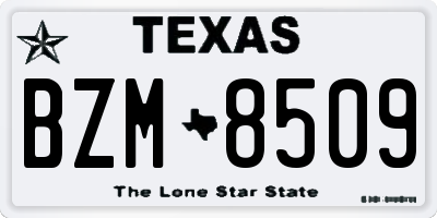 TX license plate BZM8509