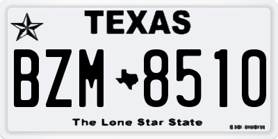 TX license plate BZM8510