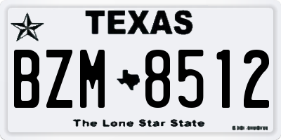 TX license plate BZM8512