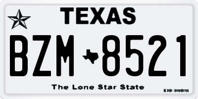 TX license plate BZM8521