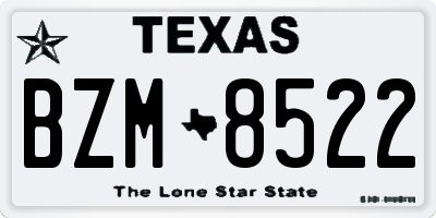 TX license plate BZM8522