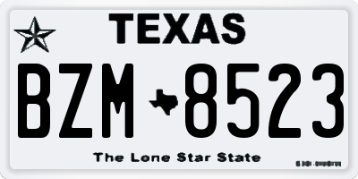 TX license plate BZM8523