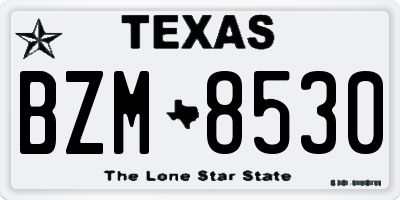 TX license plate BZM8530