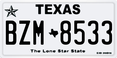 TX license plate BZM8533