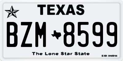 TX license plate BZM8599