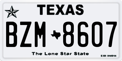 TX license plate BZM8607