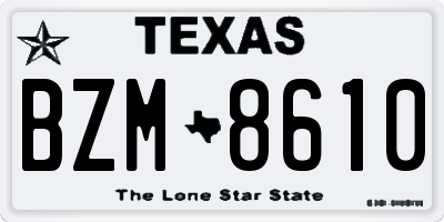 TX license plate BZM8610
