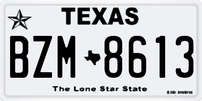TX license plate BZM8613