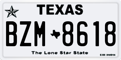 TX license plate BZM8618