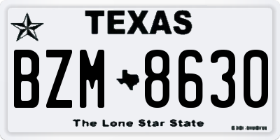 TX license plate BZM8630