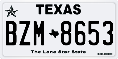 TX license plate BZM8653