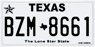 TX license plate BZM8661