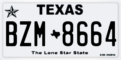 TX license plate BZM8664