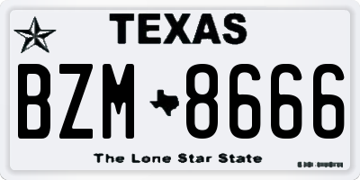 TX license plate BZM8666