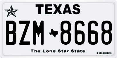 TX license plate BZM8668
