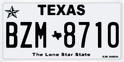 TX license plate BZM8710