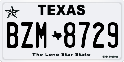TX license plate BZM8729