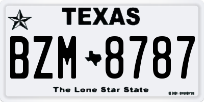 TX license plate BZM8787